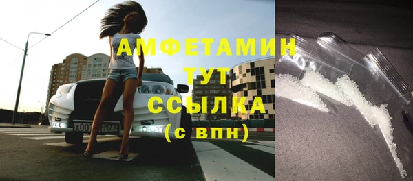 индика Зеленокумск