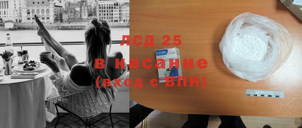 индика Зеленокумск