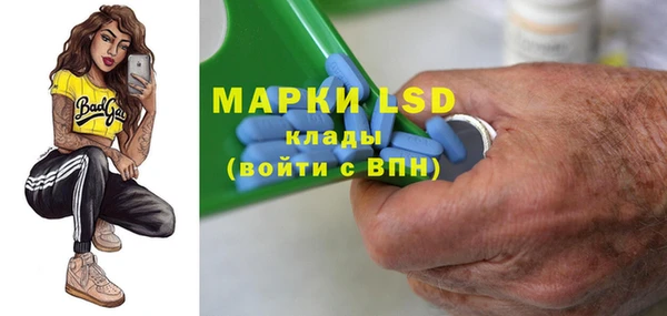 СК Зерноград