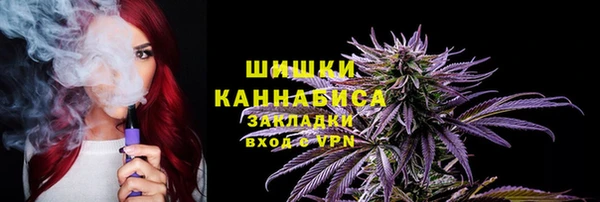 СК Зерноград