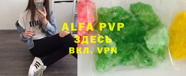 СК Зерноград