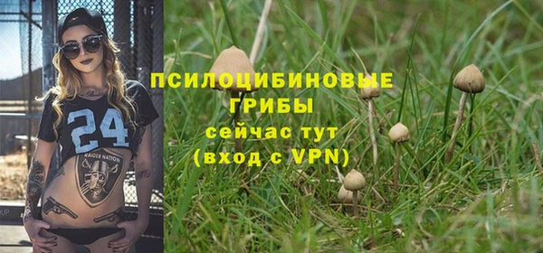 индика Зеленокумск