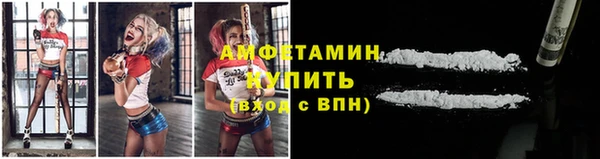 индика Зеленокумск