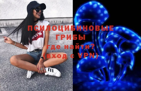 СК Зерноград
