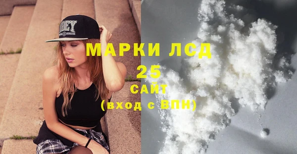 индика Зеленокумск